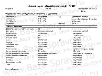 Общий анализ мочи